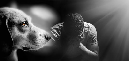 Recognizing the 5 stages of grief ♡