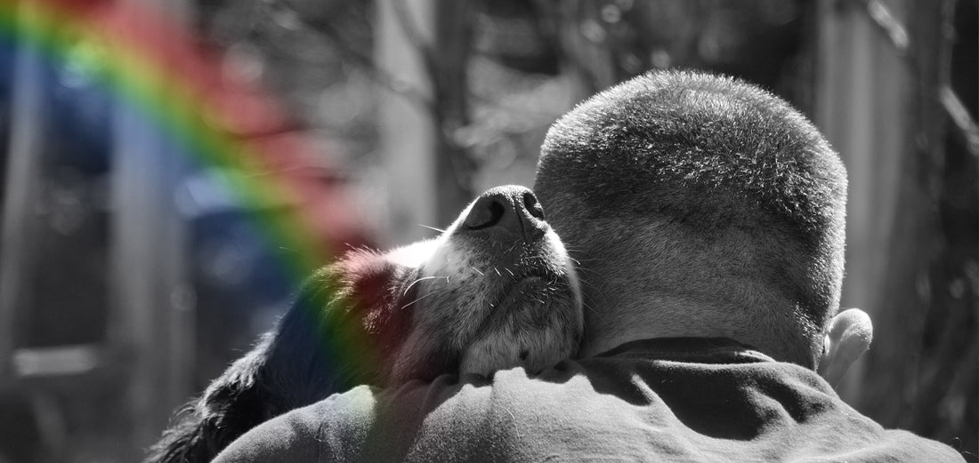 Ways to deal with pet loss grief, man cuddling dog, with rainbow