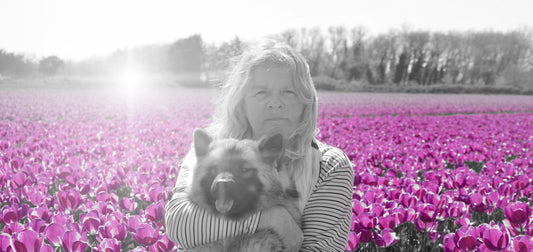 Woman holding a dog in a field of pink poppies