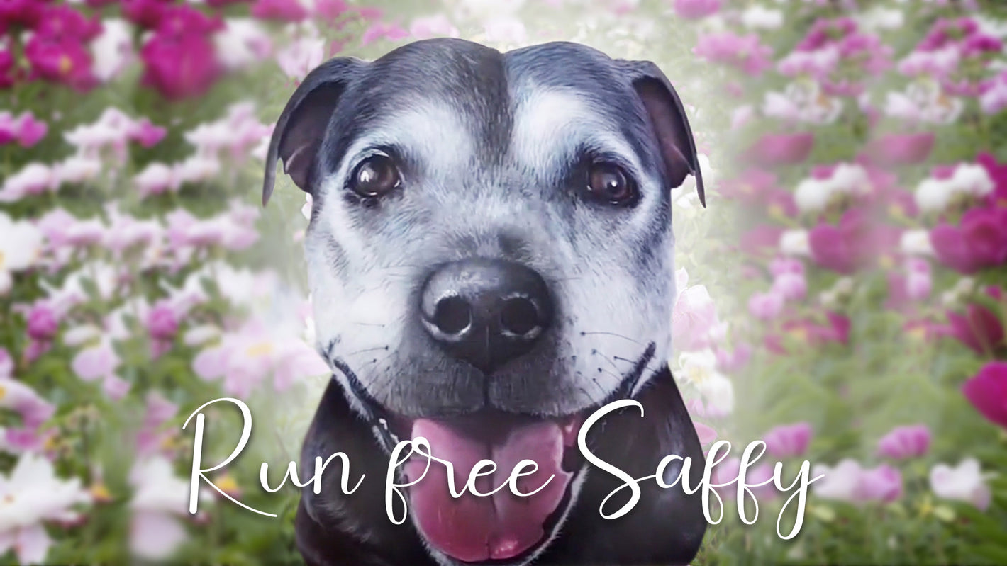 Hand painted staffy pet memorial